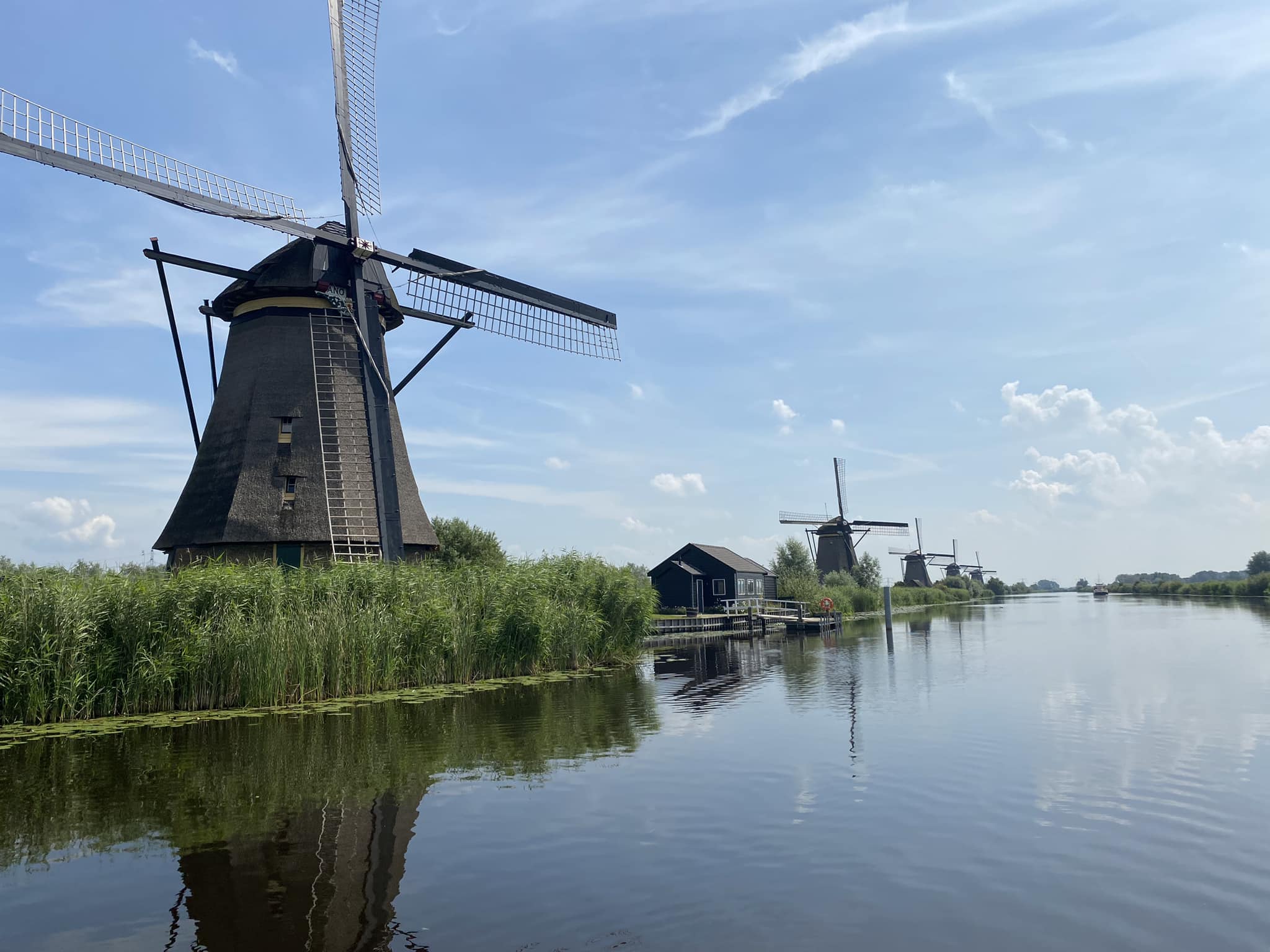 Private Dutch Icons Discovery