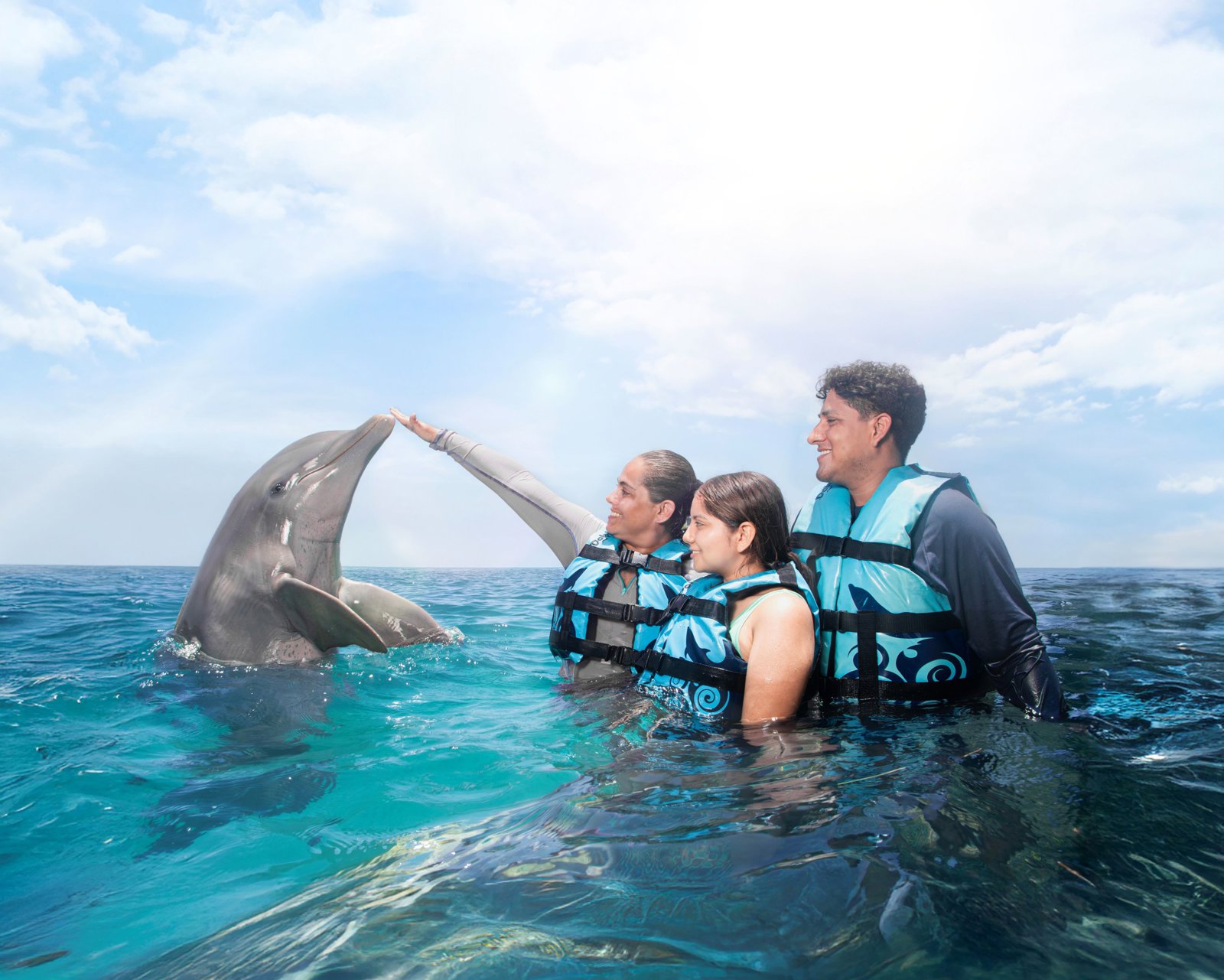 Dolphin Encounter in Cozumel