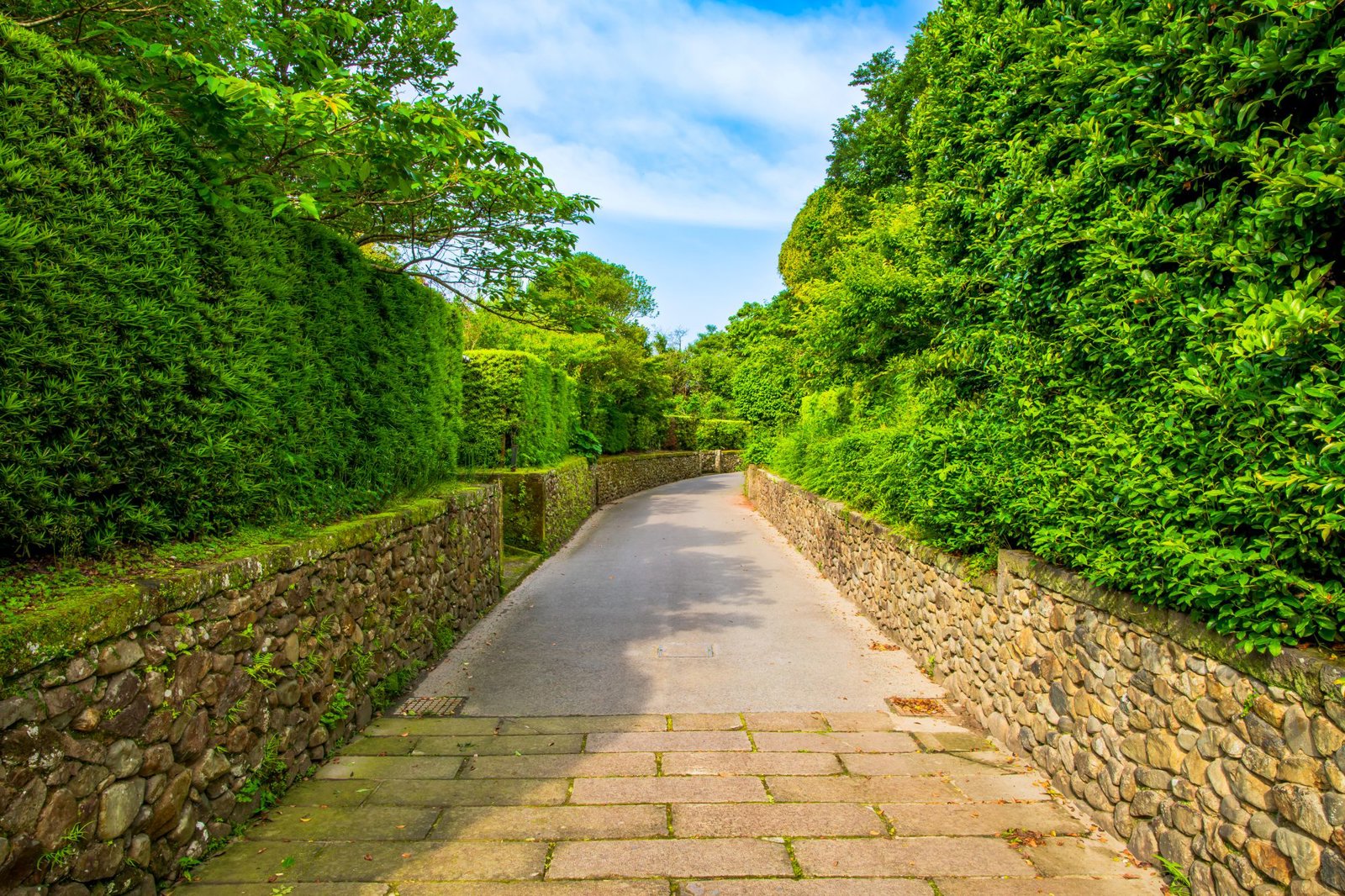 Private Samurai Residences and Local Culture Tour