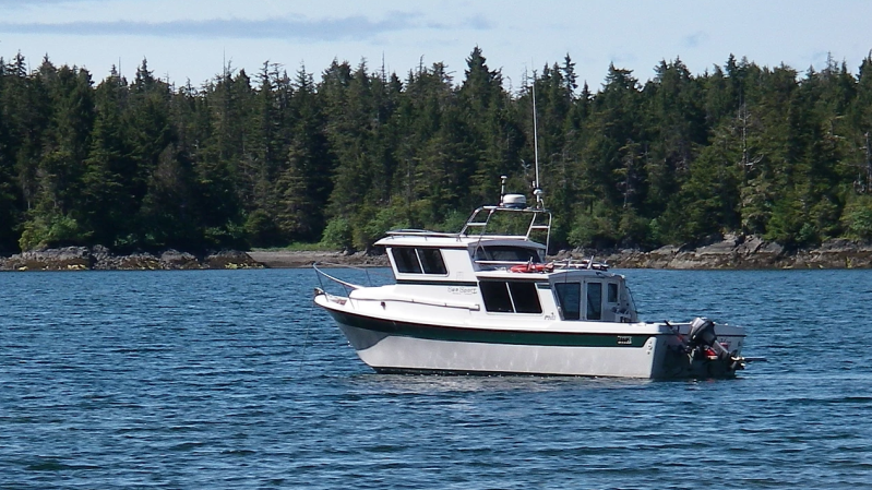 Sitka Sound Sea Otter and Wildlife Tour