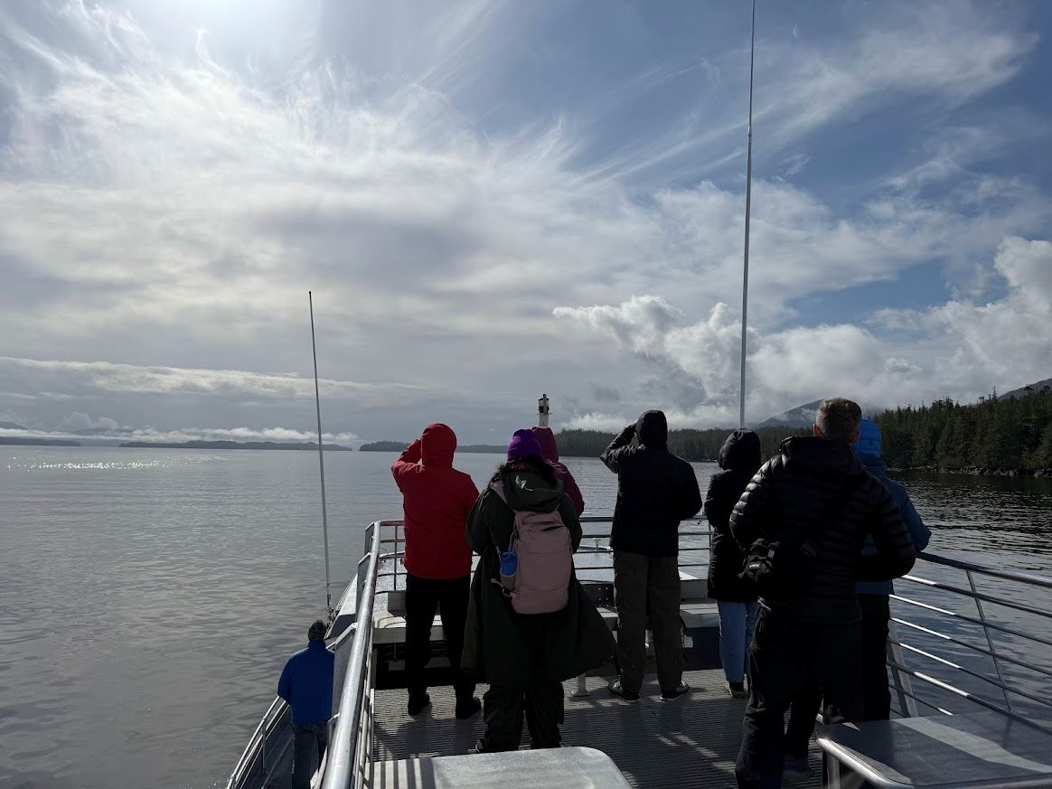 Discover Wildlife Viewing and Whale Watching