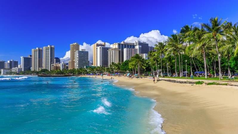 Private Full Day Sightseeing Tour