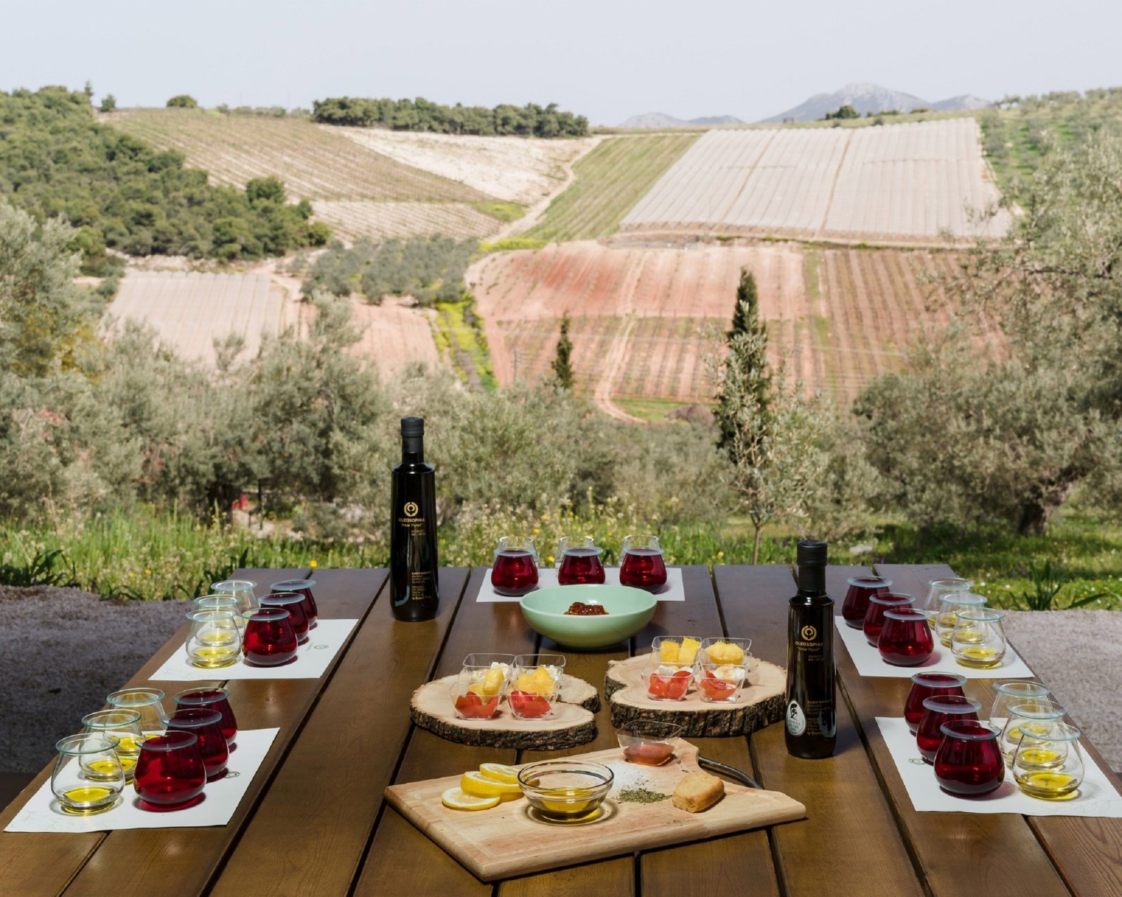 Olive Trails and Tranquility: A Nafplio Small Group Journey