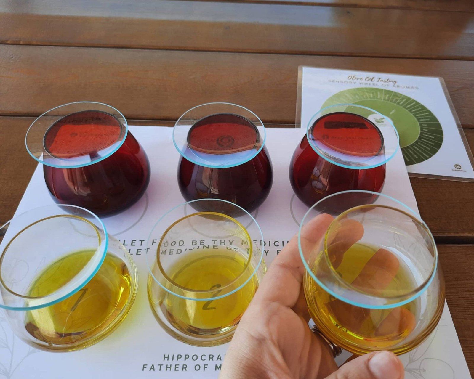 Olive Trails and Tranquility: A Nafplio Small Group Journey