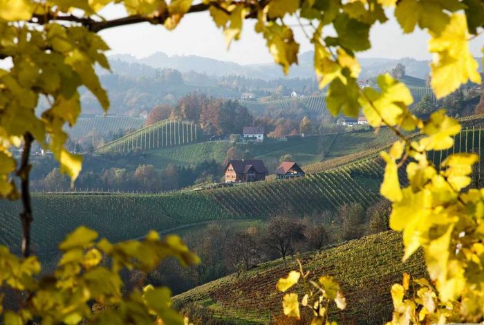 Sonoma Valley Wine Country Tour