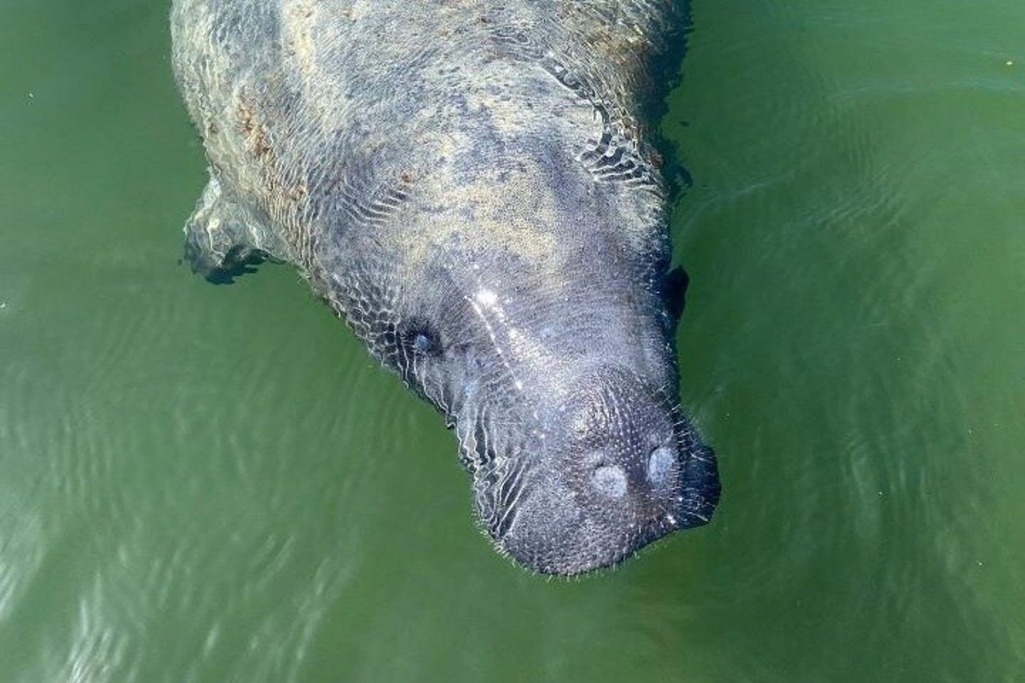 Southern Everglades with Boat Ride and 3 Hikes