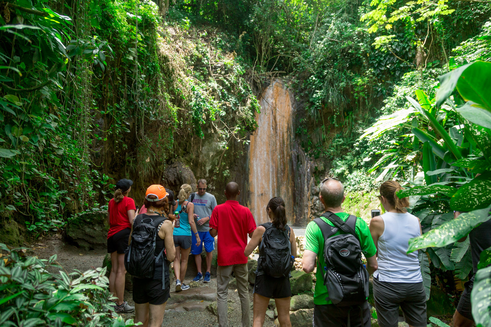 Soufriere Island Delight