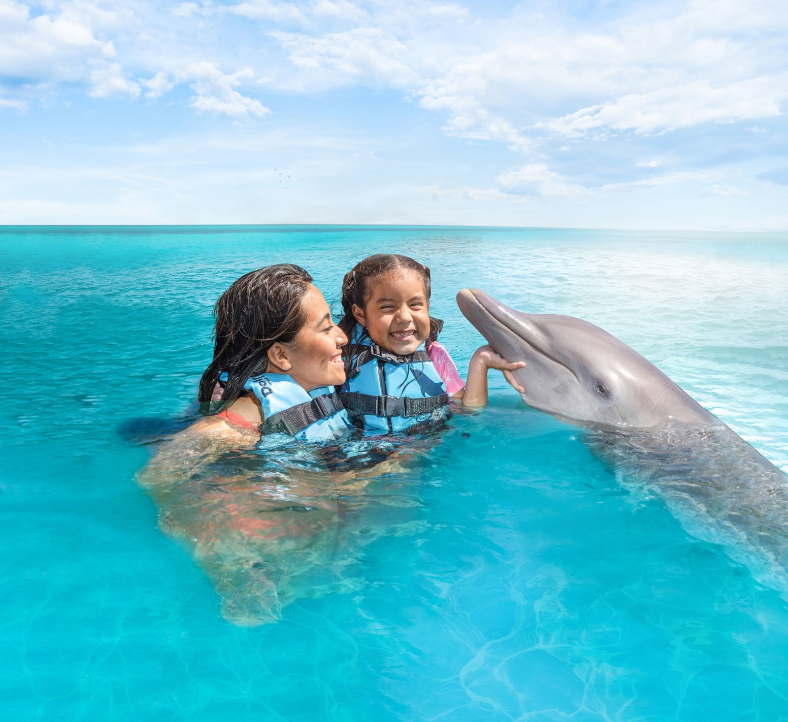 Dolphin Encounter in Cozumel