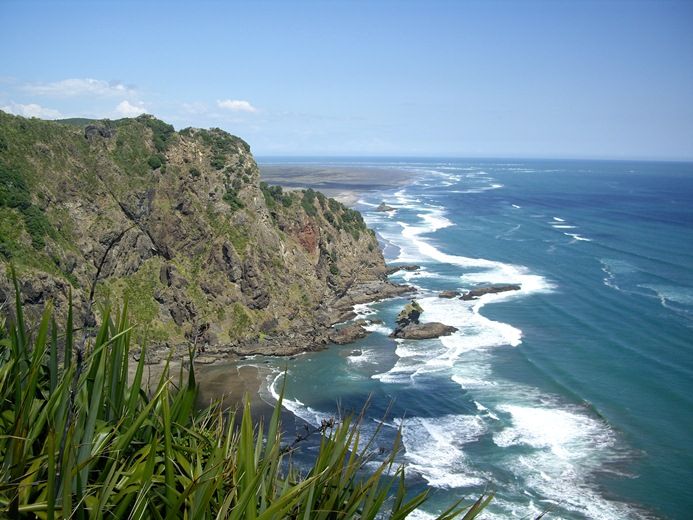 Private Auckland West Coast Guided Wilderness Walk