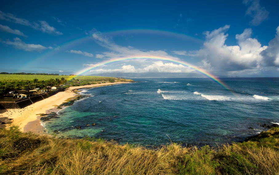 Private Road to Hana Highlights: Waterfalls, Views and More