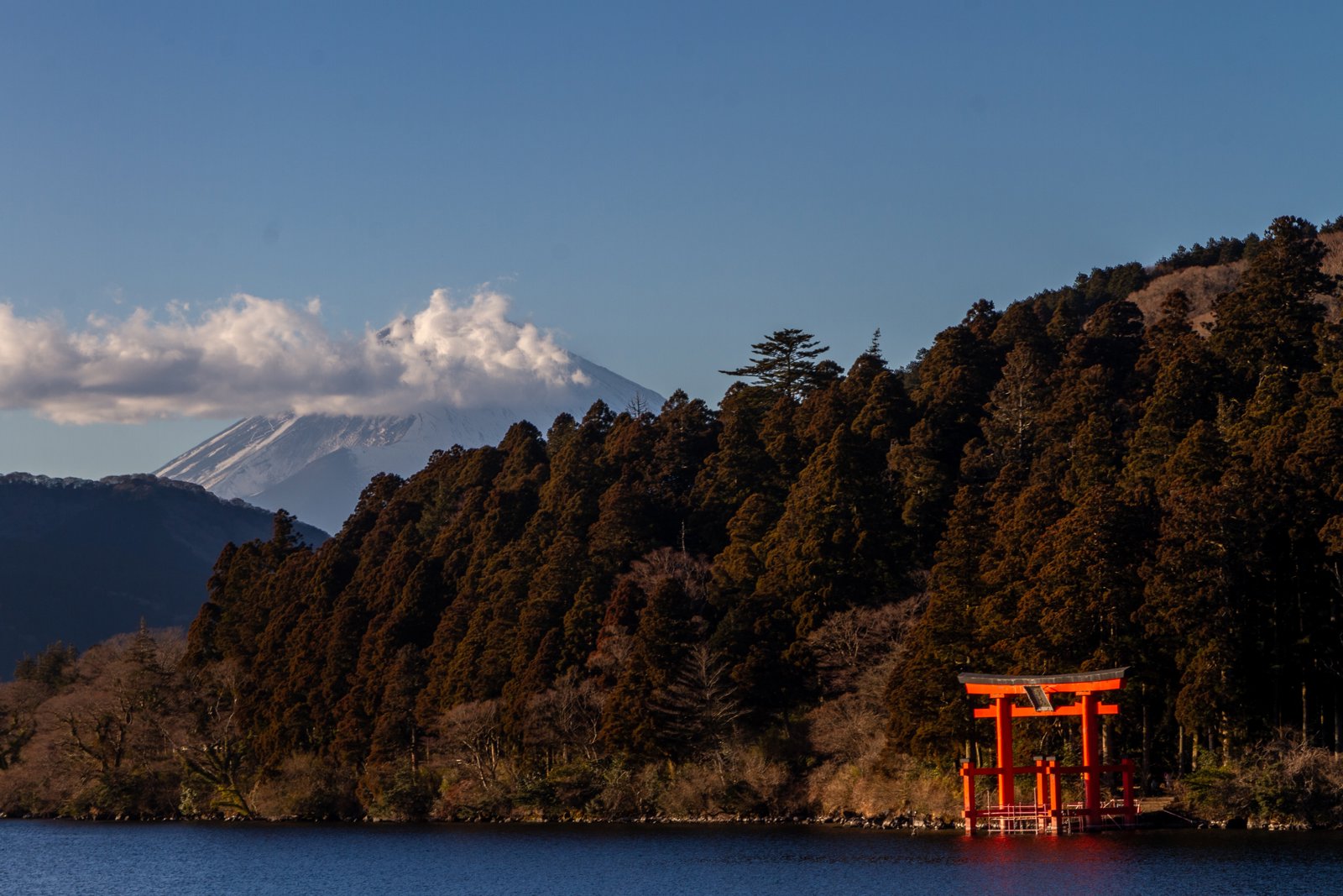 Private Mount Fuji Flowers and Lake Yamanaka Cruise (Low Season)