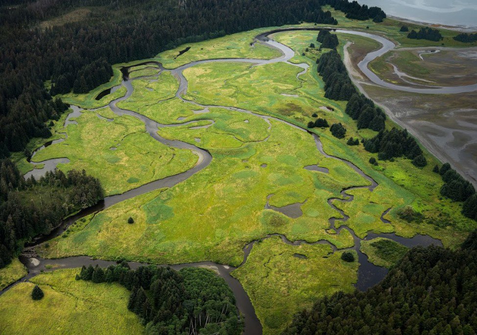 Flightseeing and Hiking - Brown Bear Viewing