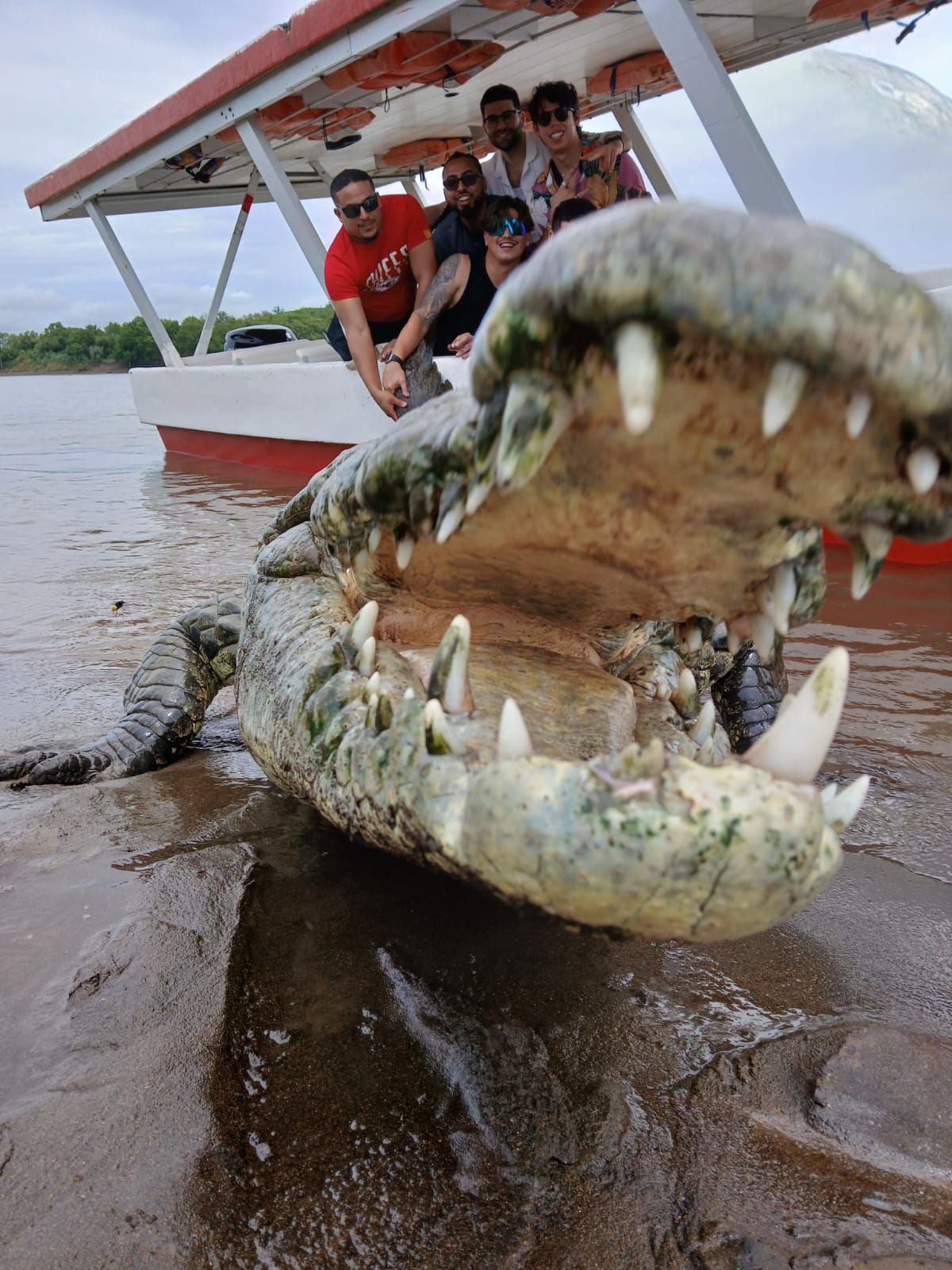 River of Crocs: Mangrove Eco-Adventure
