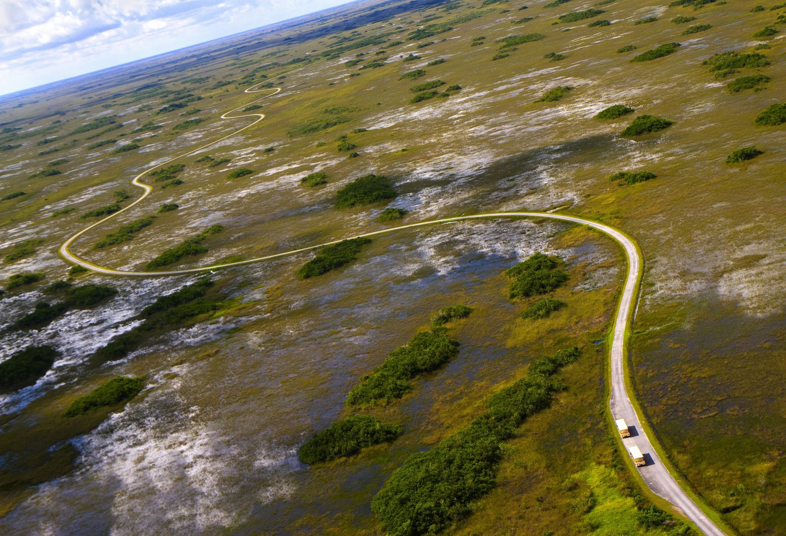 Everglades Boat Ride and Little Havana Experience