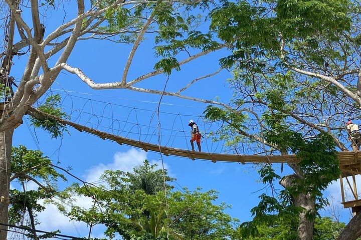 Ocho Rios Heritage, Heights and Hidden Treasures Adventure