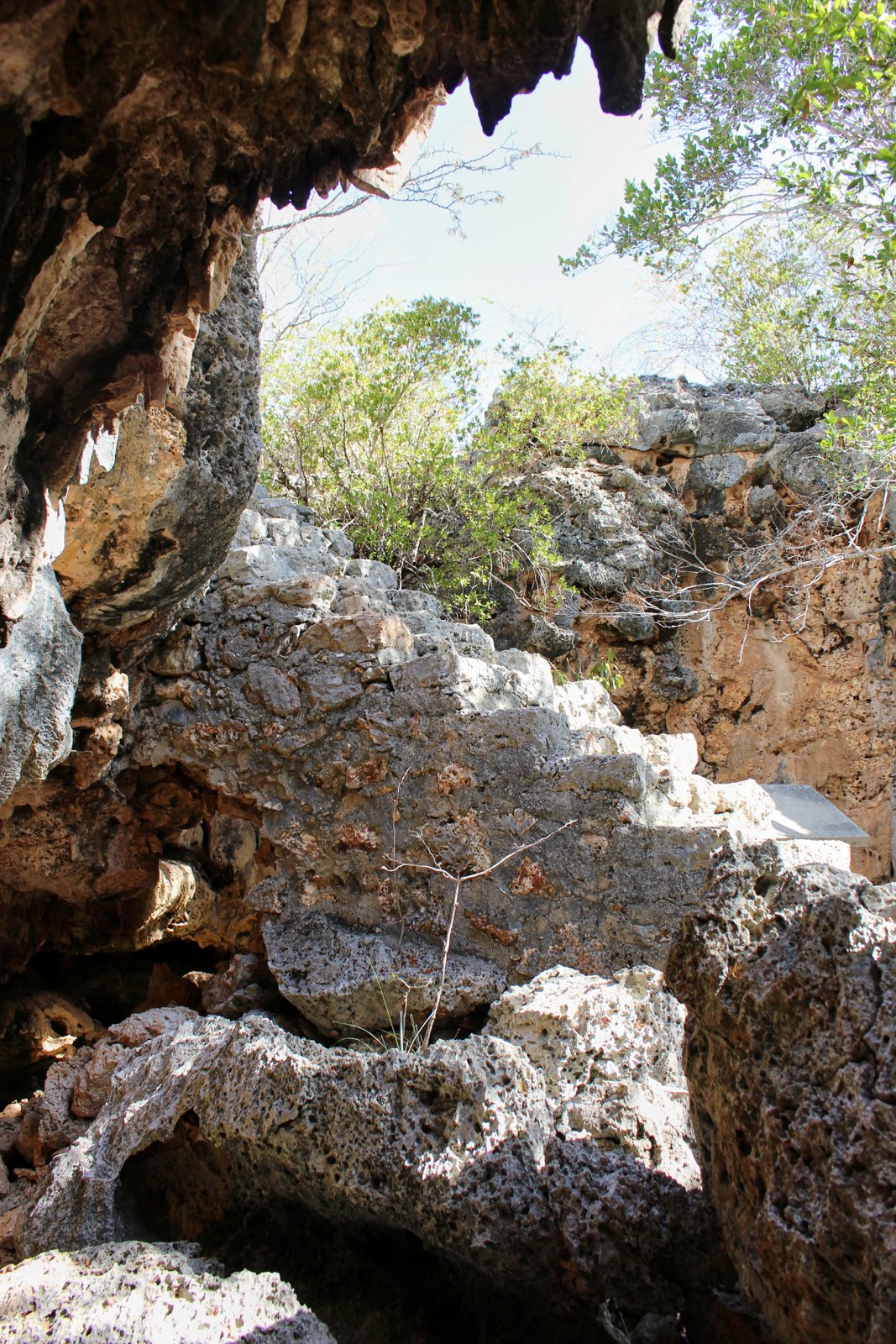 Bonaire Cave Adventure: Explore the Island Beneath the Island