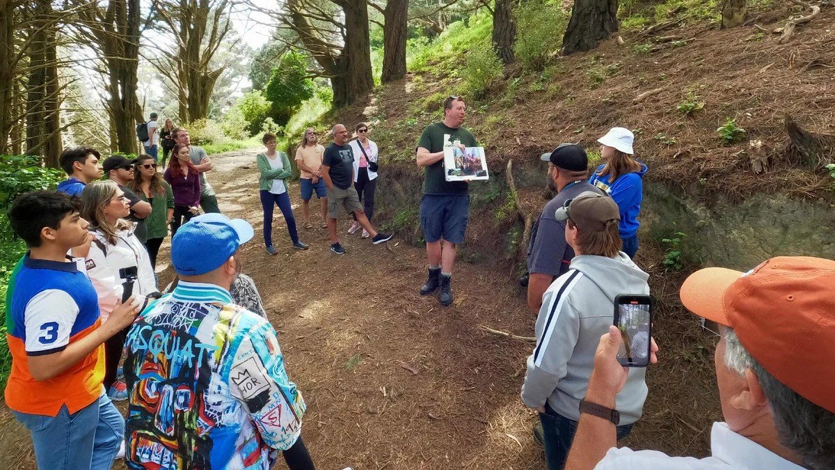 Full Day Wellington Rings Tour
