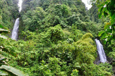 Dominica’s Wild Side: Waterfalls, Gorges and Hot Springs