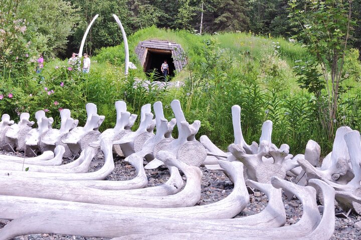 A Cultural Tour and Transfer from Whittier Cruise Port to Anchorage Airport/Hotel by Motorcoach