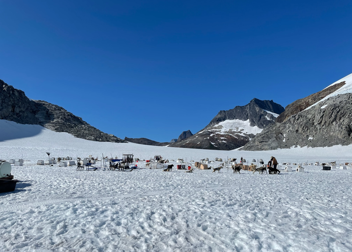 Helicopter and Dog Sled Tour