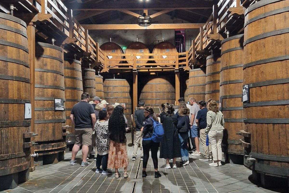 Taormina and Mount Etna Wine Experience