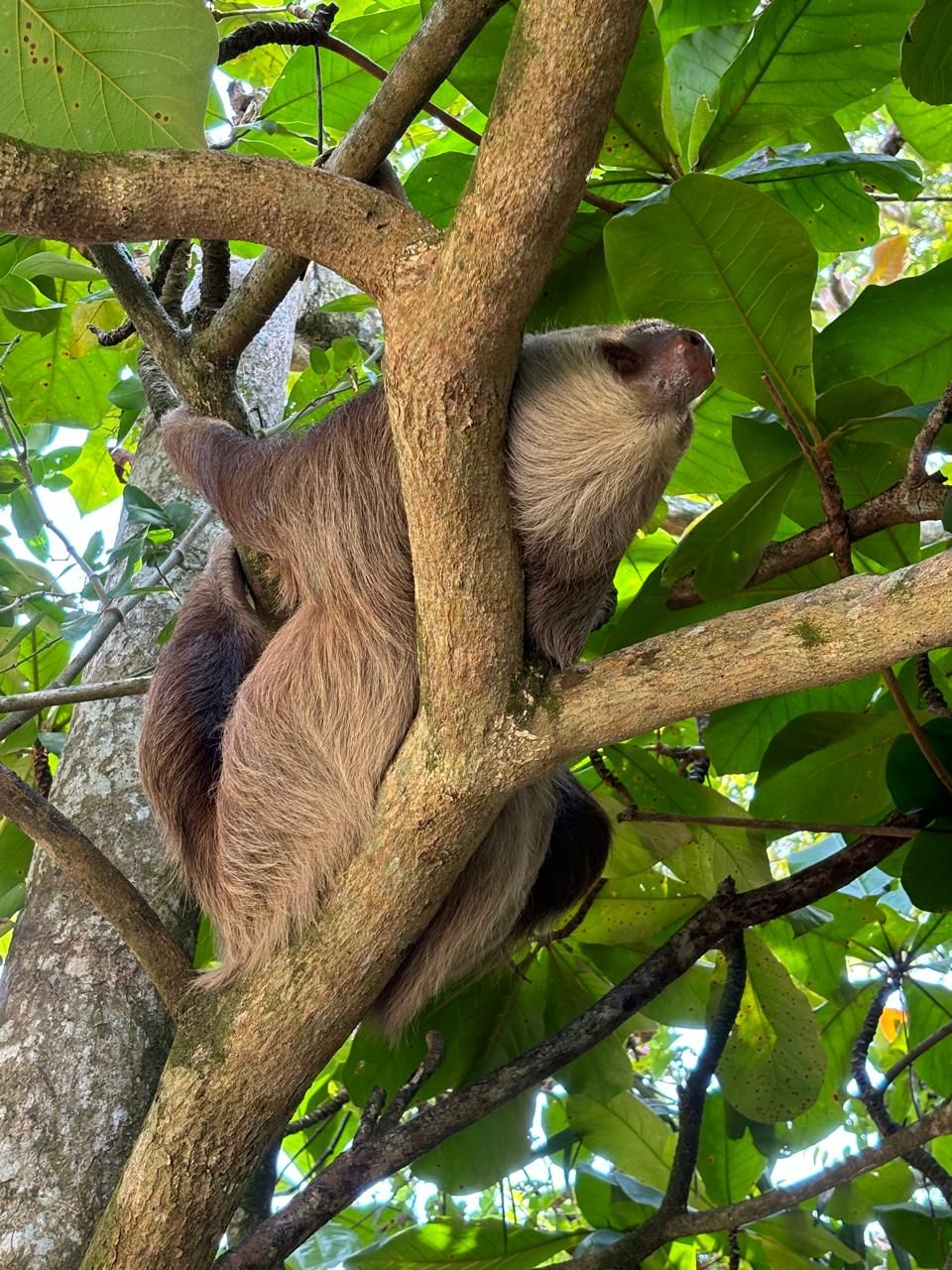 Wildlife Rescue Center Tour