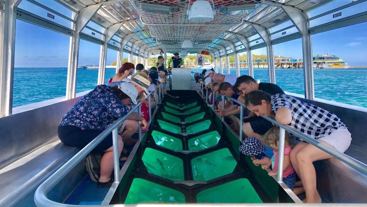 Red Sea Glass-Bottom Boat Experience
