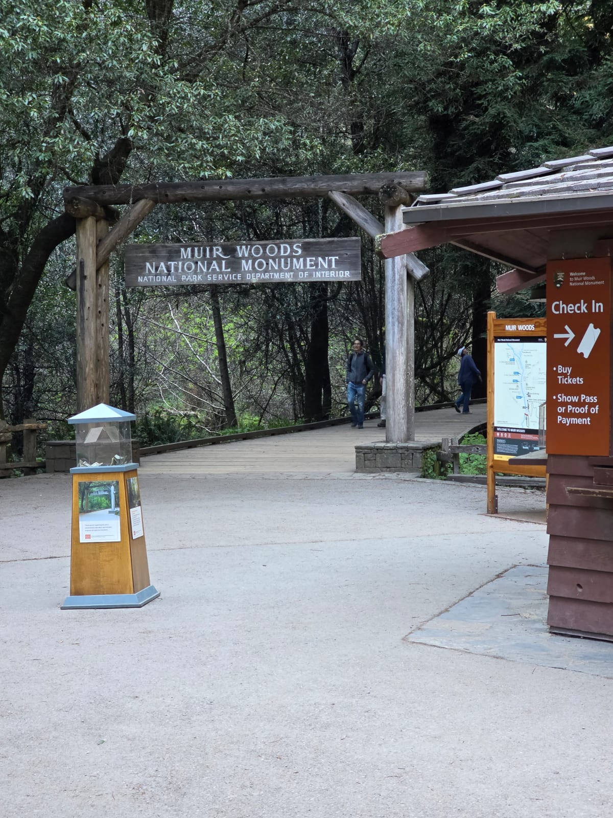Discovering Muir Woods and Sausalito Tour