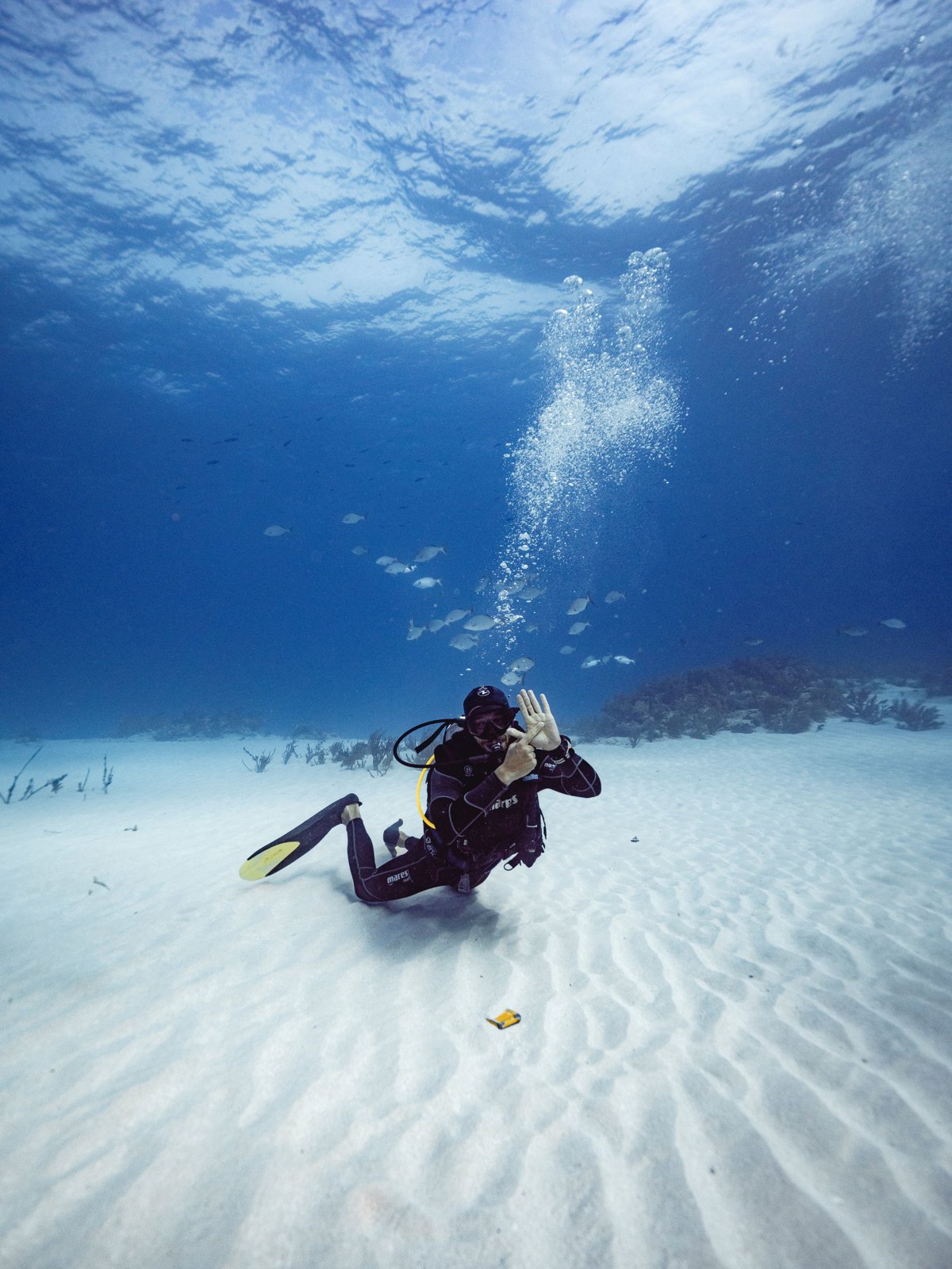 Certified Diver Reef Adventure – Explore the Pristine Mesoamerican Reef