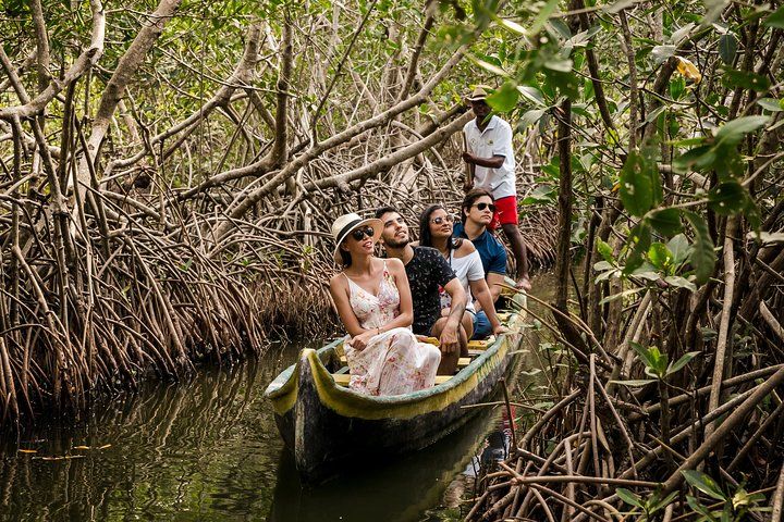 Private Tour - Cartagena Secrets of the Mangroves