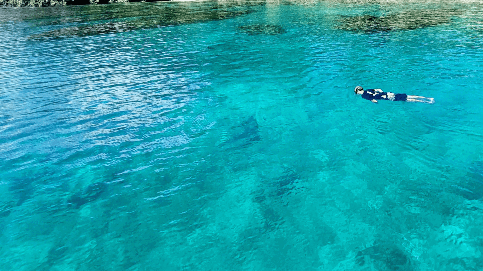 Snorkelers Cove Express Tour