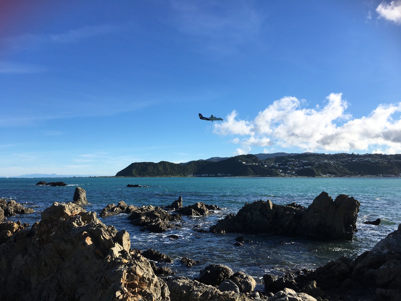 Small Group Wellington Discovery Tour plus Lunch