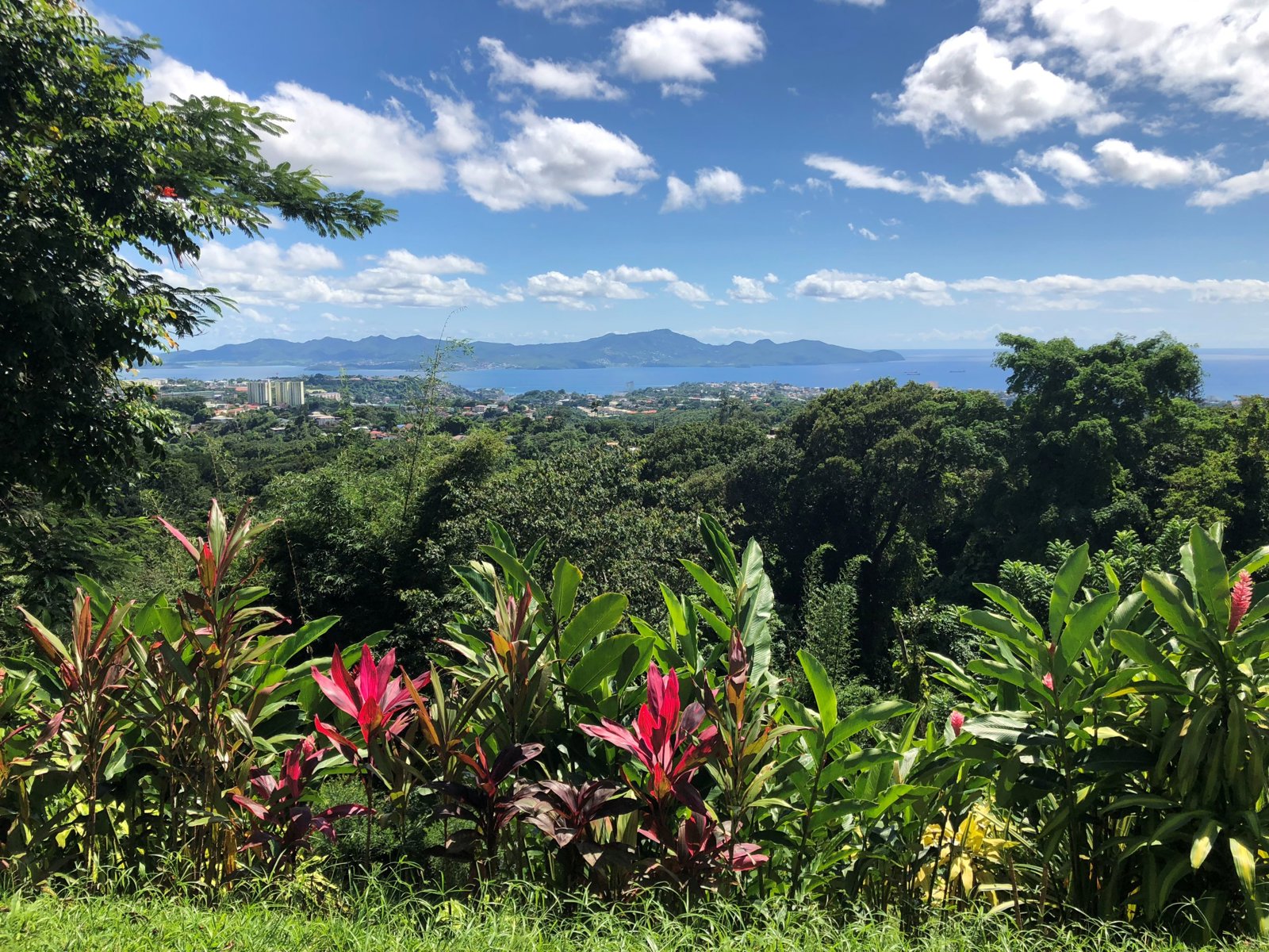 Private Northern Martinique Discovery