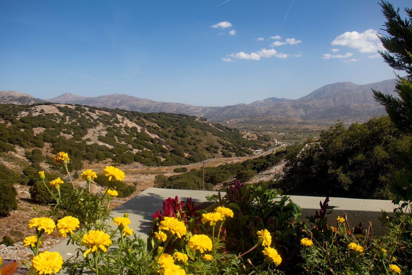 Knossos, Mountain Villages and Olive Oil Experience