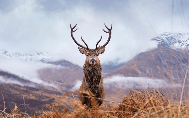 Private Highlands, Your Way