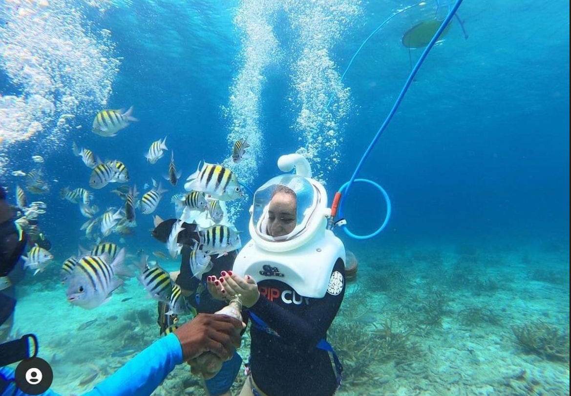 Walk Beneath the Waves