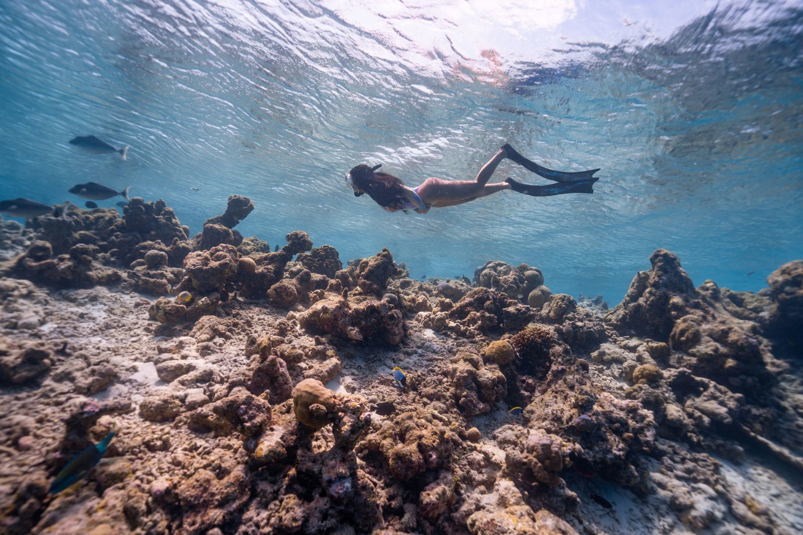 Kayaking and Snorkeling Combo Tour