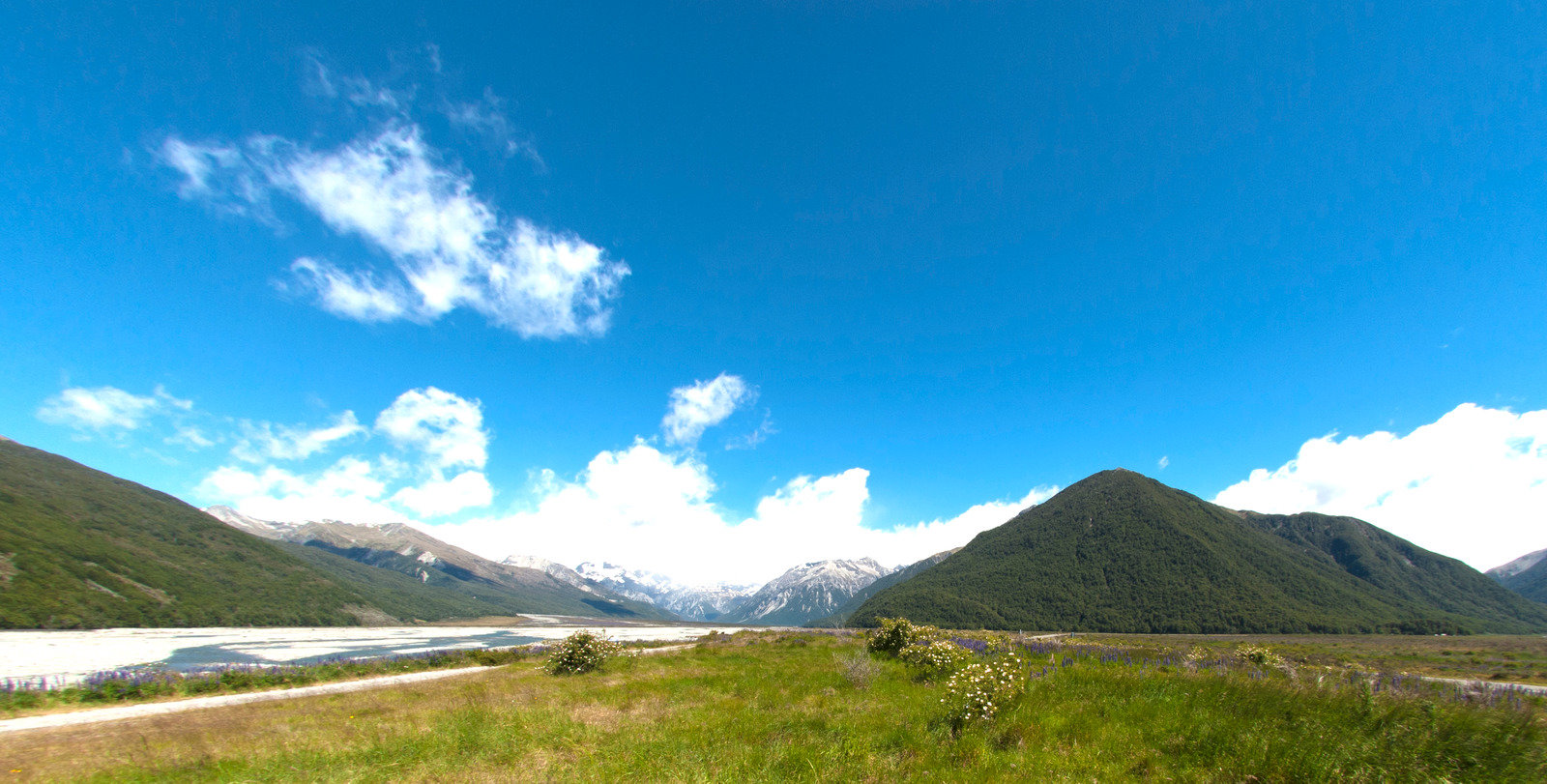 Arthurs Pass Excursion and Farm Tour 