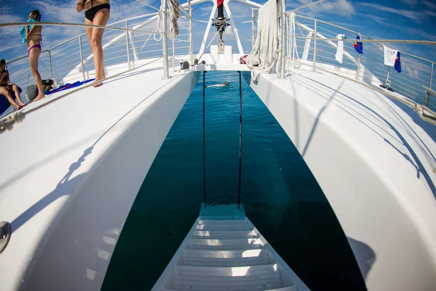 Dolphin Playground and Snorkel Adventure
