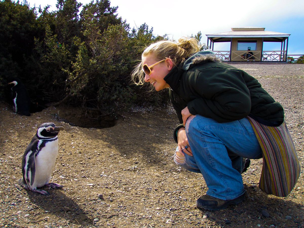 Punta Tombo Penguin Experience