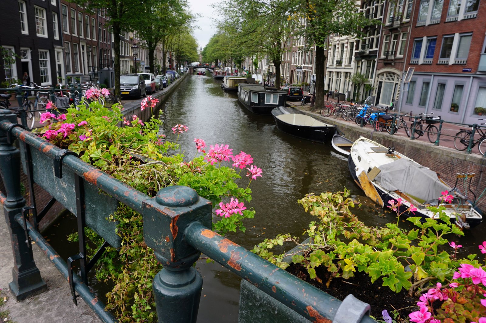 Amsterdam Canal Cruise and Food Walk