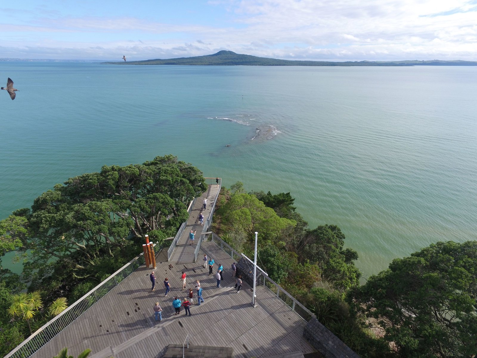 Private Discover Auckland and Volcanoes