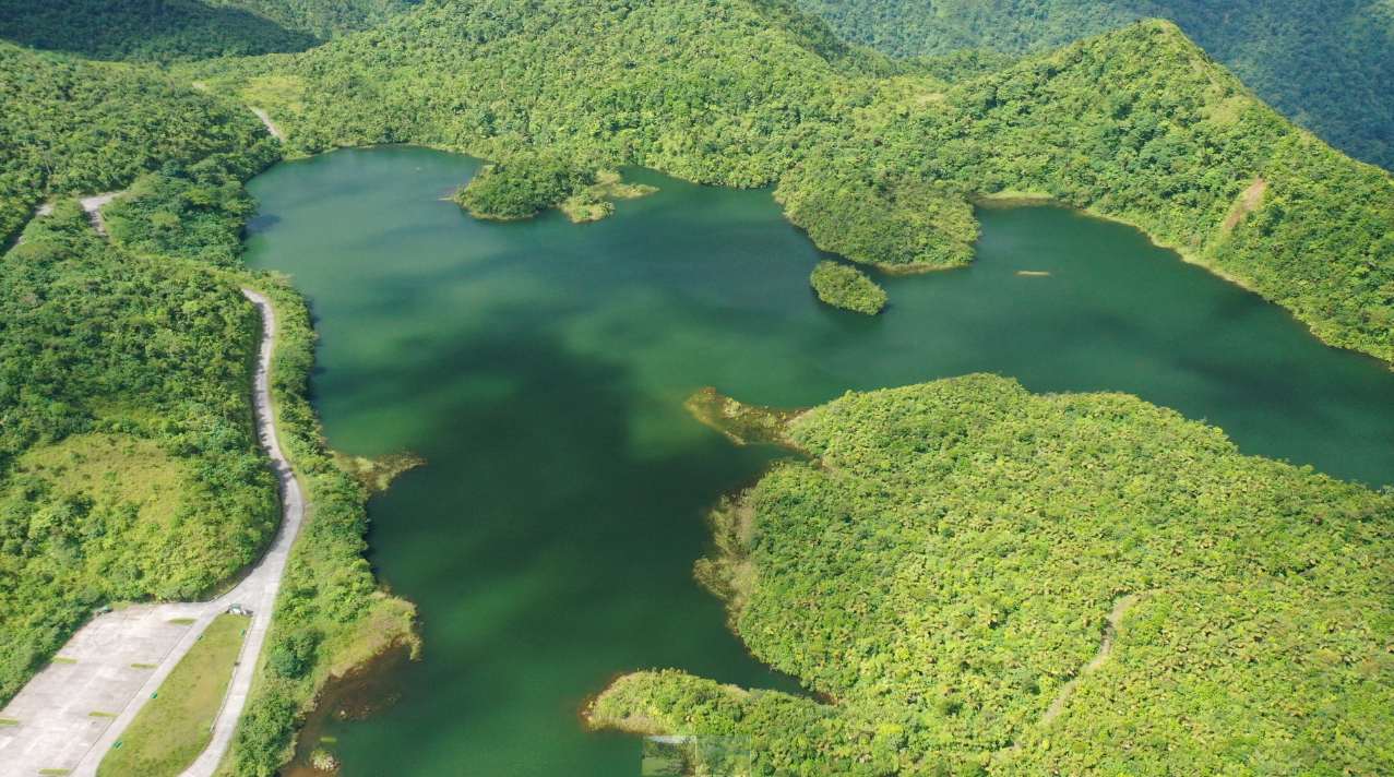 Dominica’s Natural Wonders: Emerald Pool and Trafalgar Falls Tour