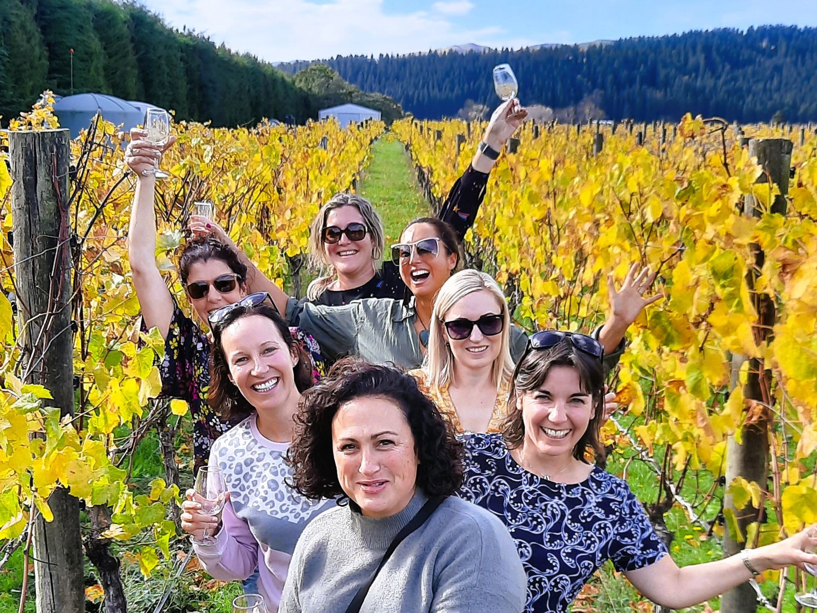 Wairarapa Valley Guided Wine Tour with Wine Tastings 