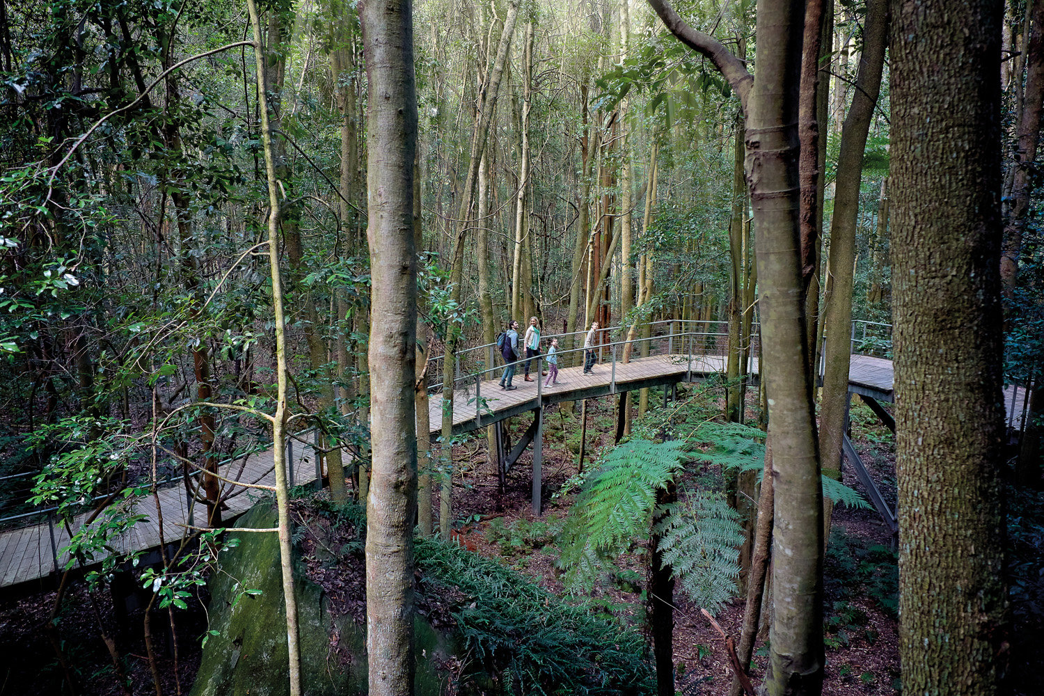Blue Mountains, Sydney Zoo and Scenic World