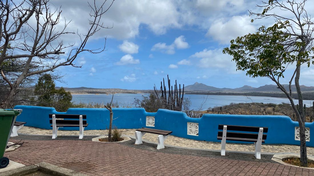 Northern Bonaire Nature Tour