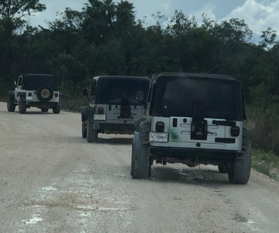 Jungle Jeep Safari and The Belize Baboon Sanctuary