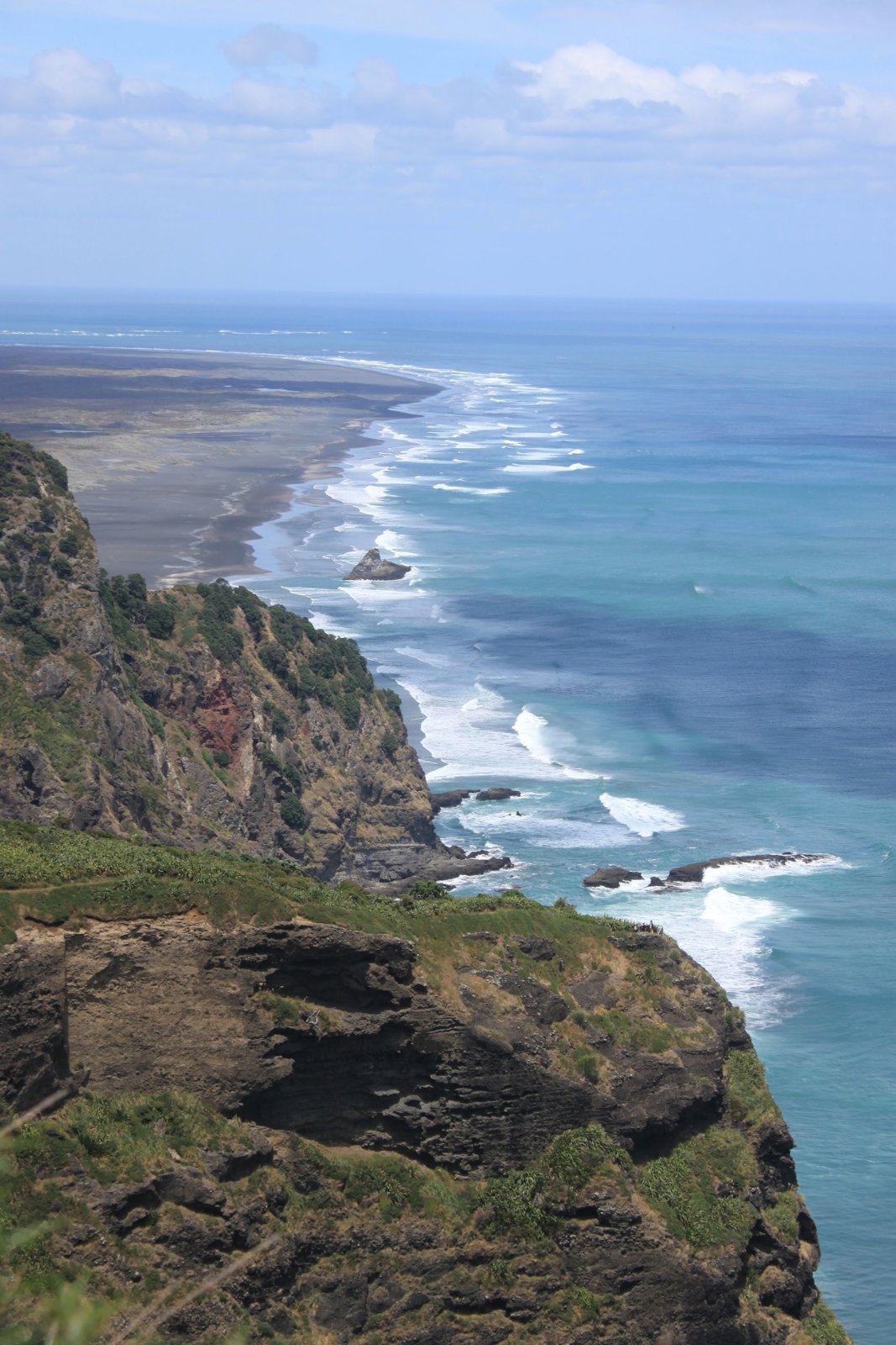 Private Auckland West Coast Guided Wilderness Walk