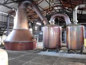 Sip and Savor: Hampden Estate Rum Tour with Lunch