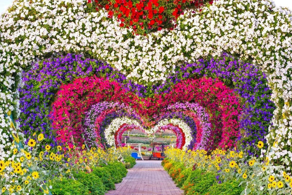 Private Dubai Miracle Garden Scenic Experience